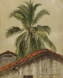 Palmen und Hausdächer, Ecuador